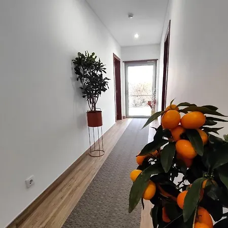 Embaixada Da Bed and Breakfast