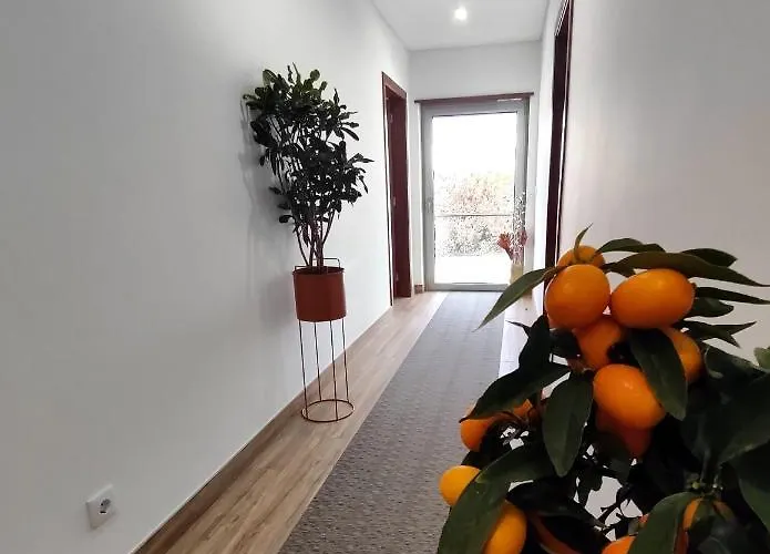 Embaixada Da Bed & Breakfast